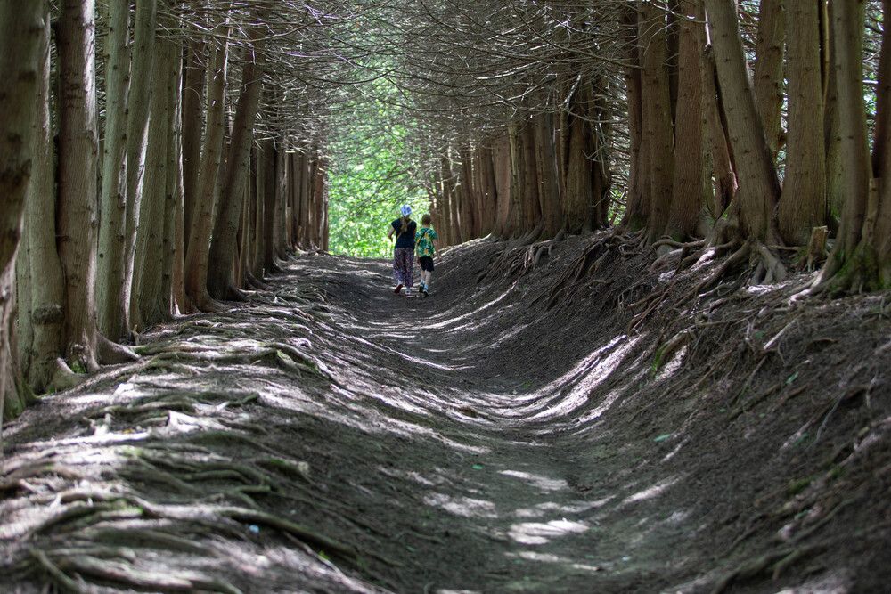 Photograph by Виталий Са