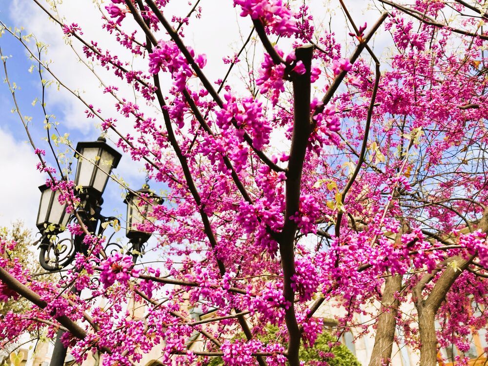 Photograph by Светлана Парамонова