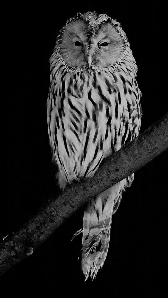 Photograph by Заира