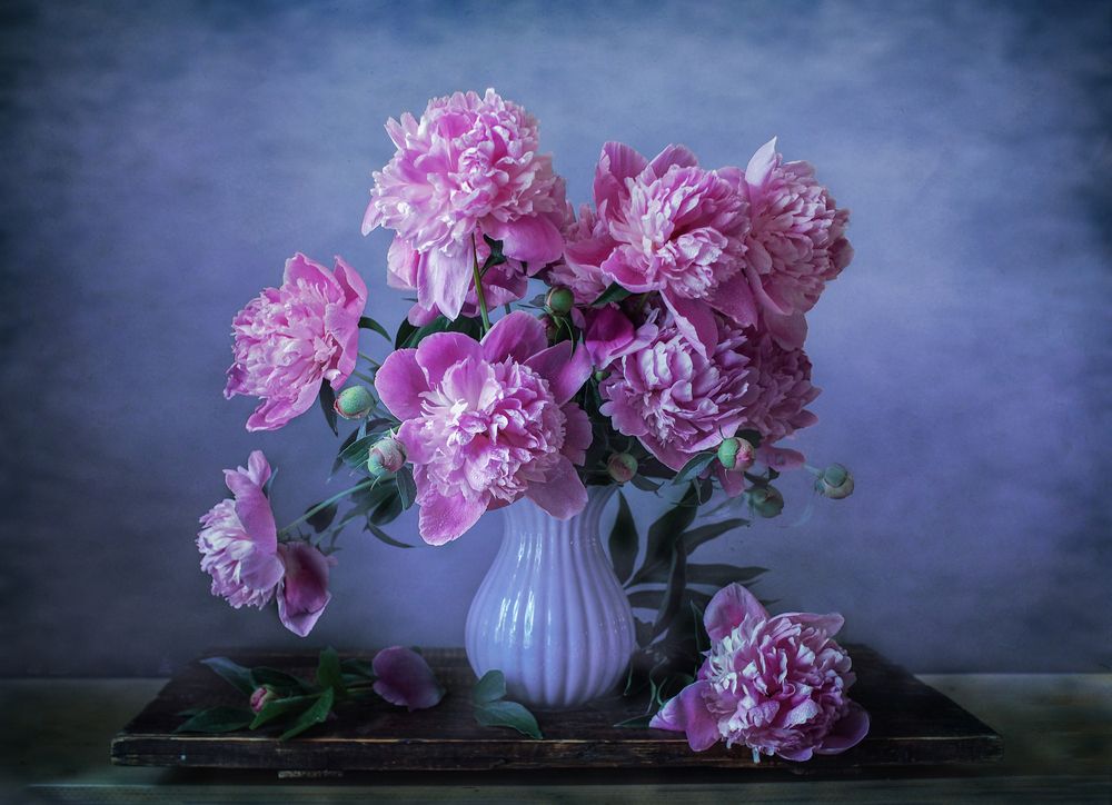 Photograph by Svetlana Inyusheva