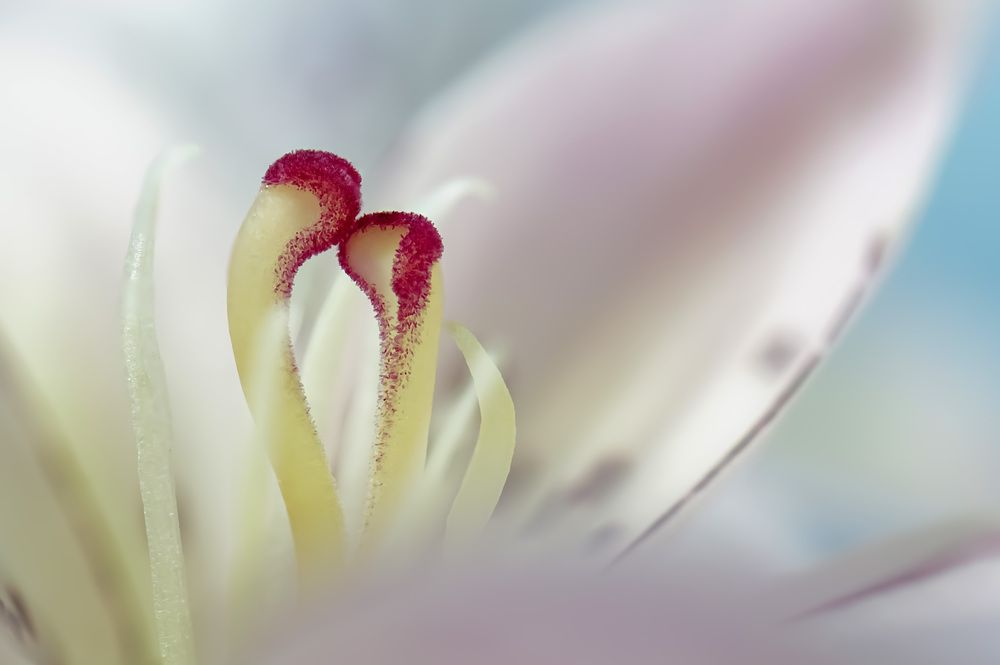 Photograph by Наталья Соколова