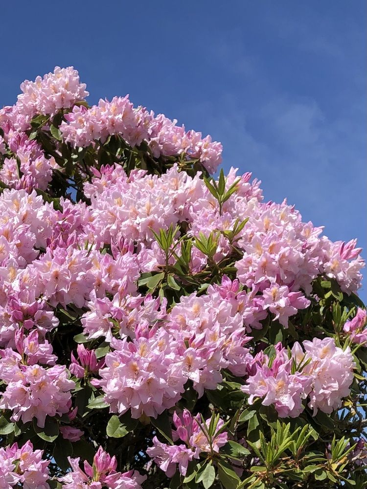 Photograph by Valentina Jegorova