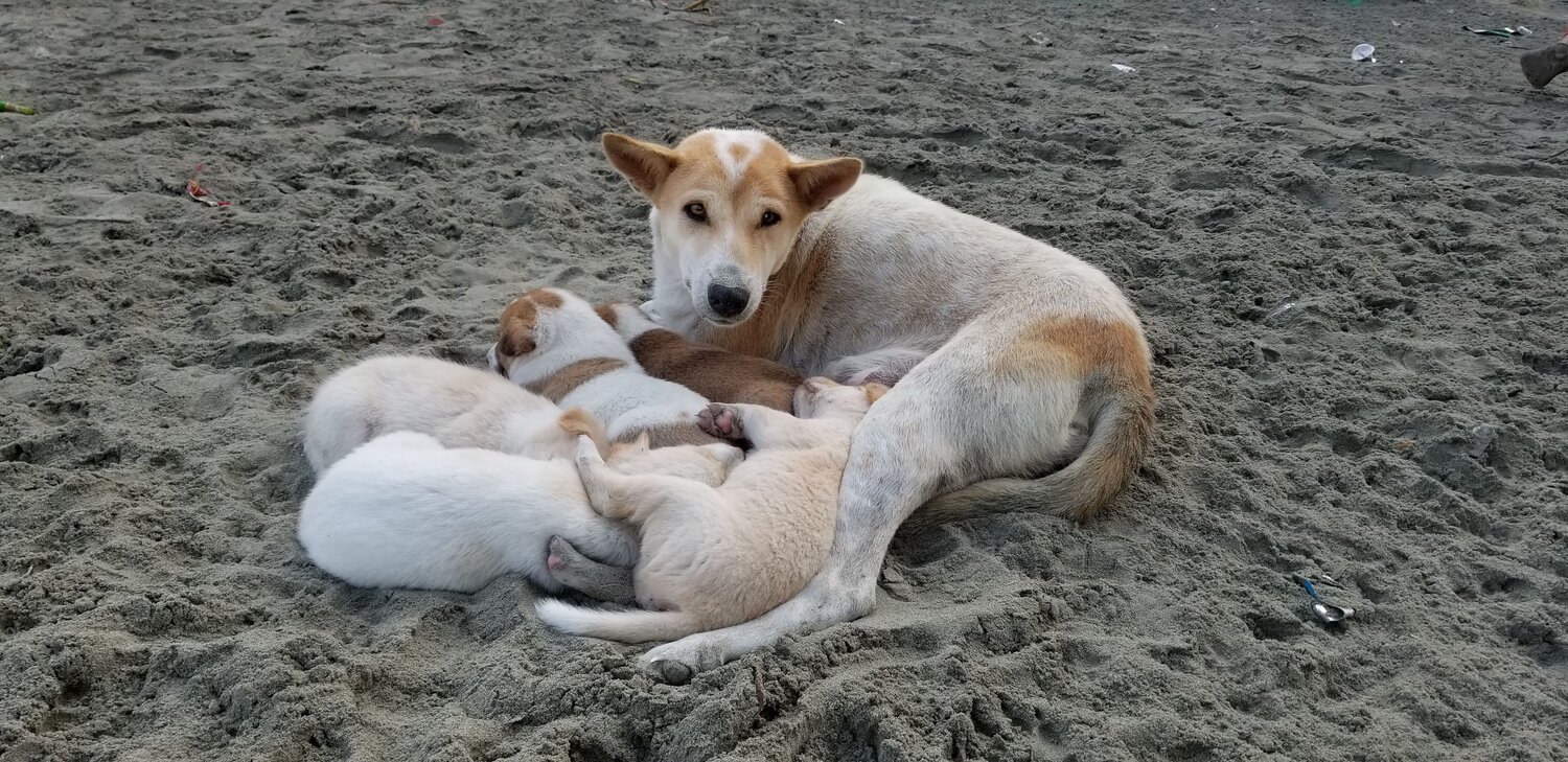 Photo #12836861