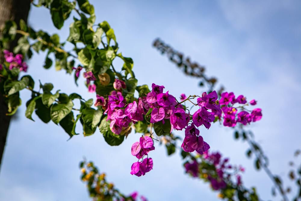 Photograph by Очева Наталья Александровна