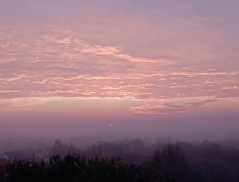 Photograph by Елена Коробченко