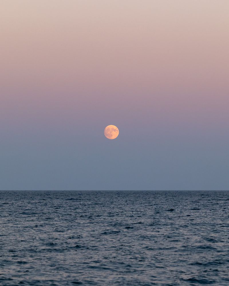 Photograph by Наталья Кирина