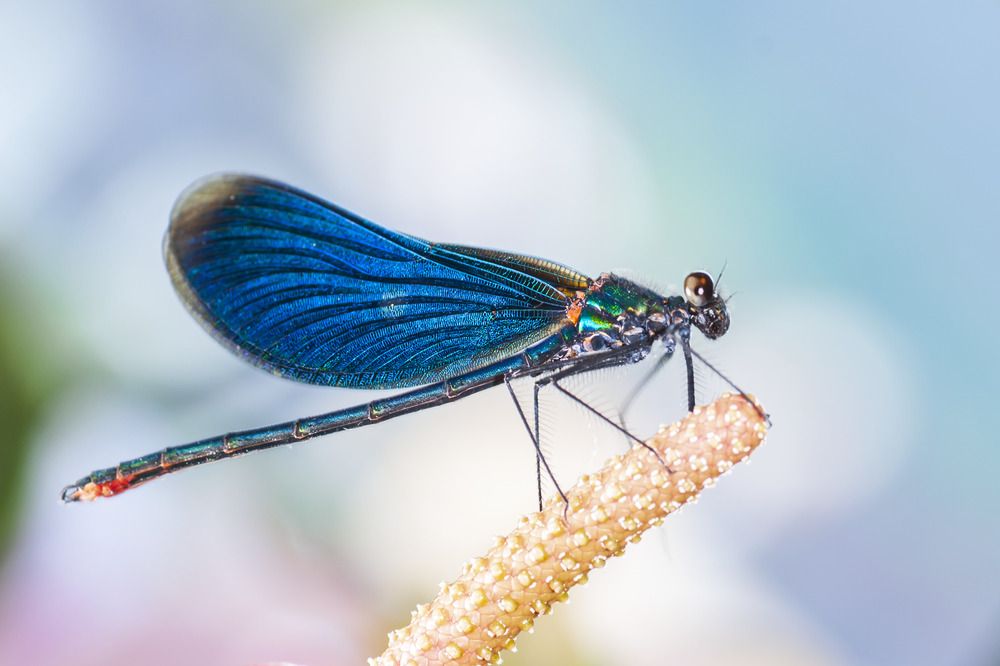 Photograph by Галина Крымская