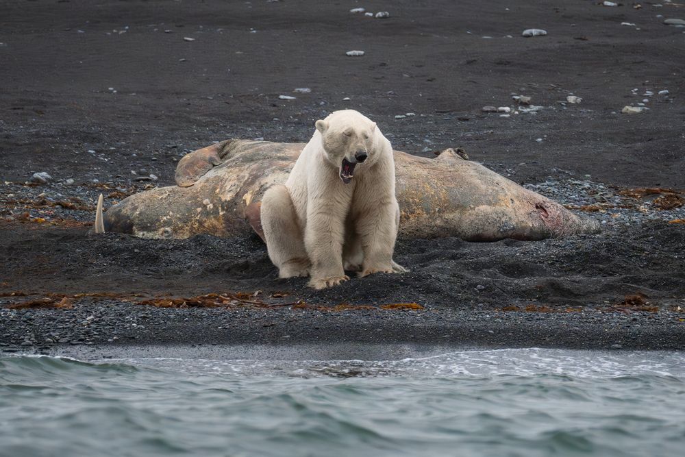 Photograph by Карамышева Дарья