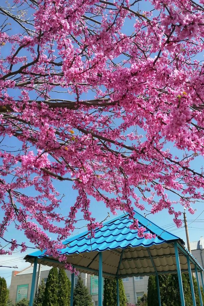 Photograph by Вакулина Марина