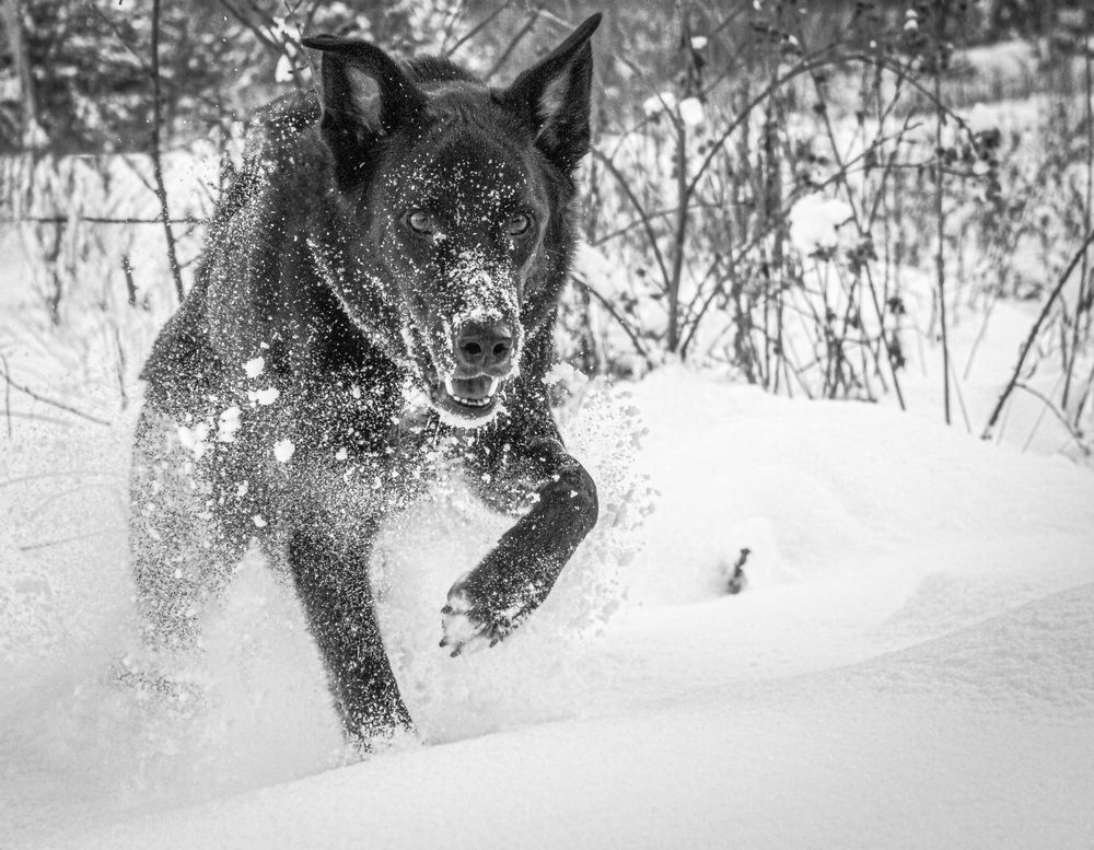 Photograph by Червяков Григорий