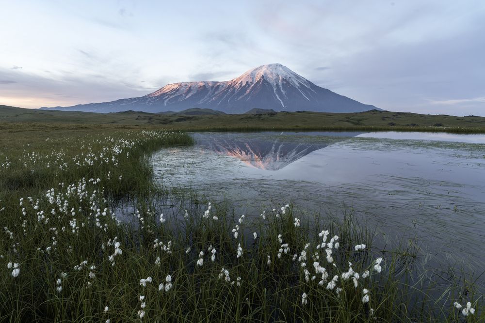 Фотография автора Дарья Карамышева