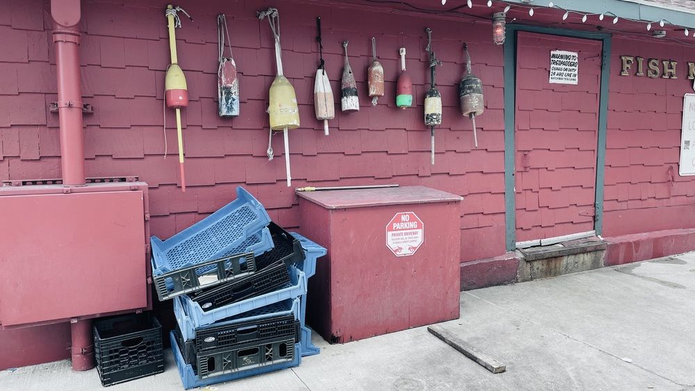 Фотография автора Olga Andriuc