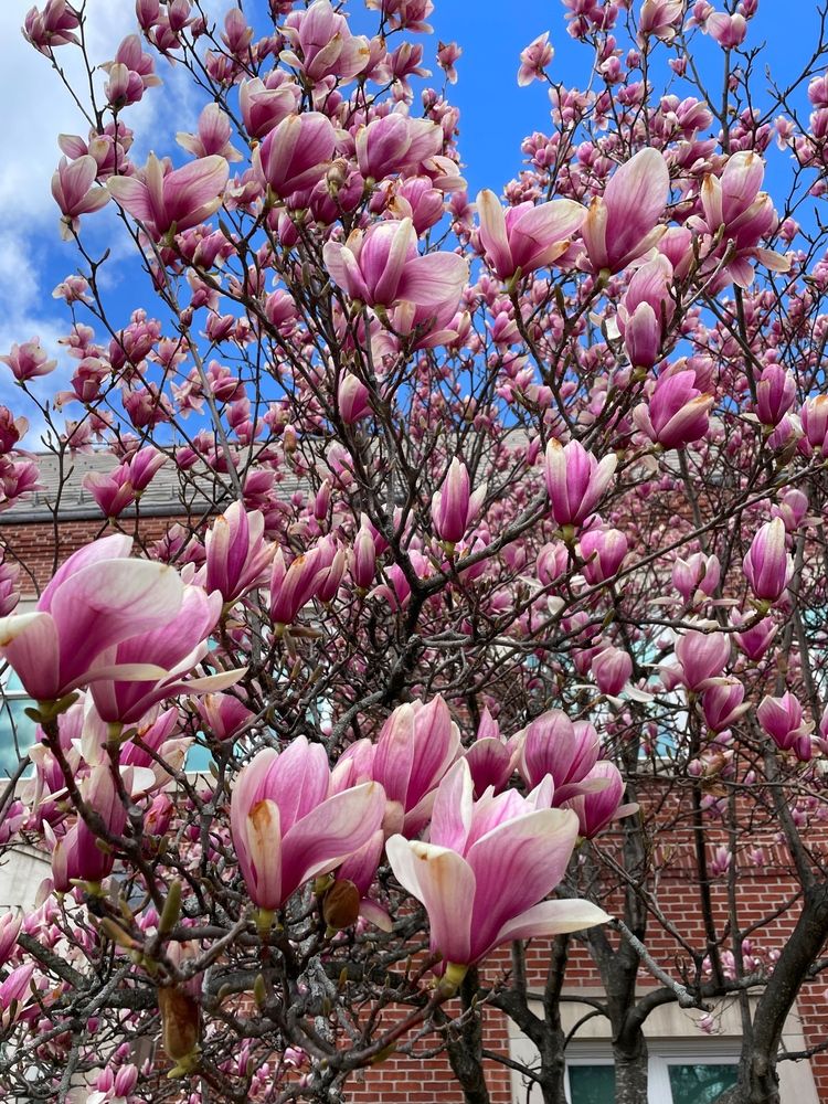 Фотография автора Olga Andriuc