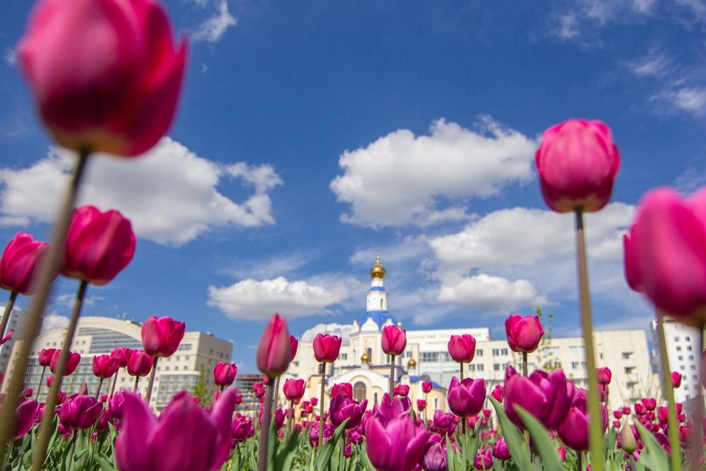 Photograph by Александр Лобынцев