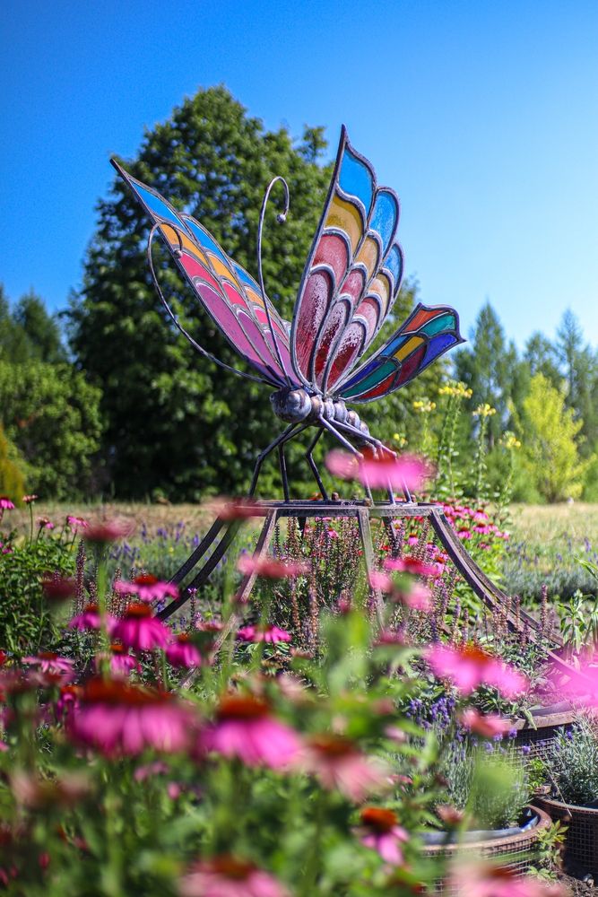 Photograph by Александр Лобынцев