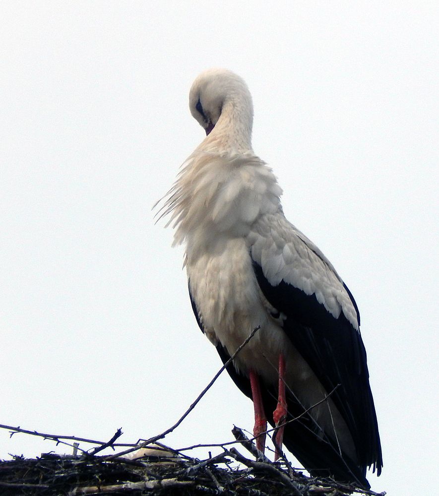 Photograph by Кирилл Елесин