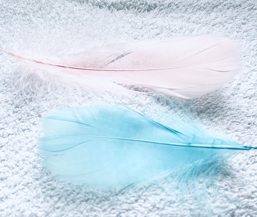 Фотография автора Irina Ginbert