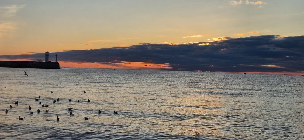 Фотография автора Ольга Мусина