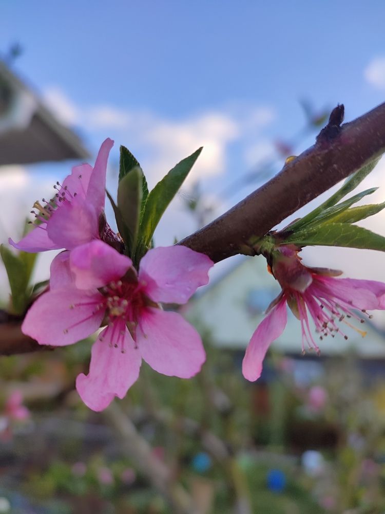 Photograph by Евгения