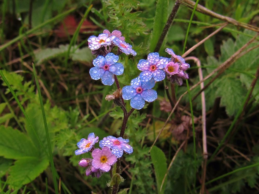 Photograph by Виктор Карпухин
