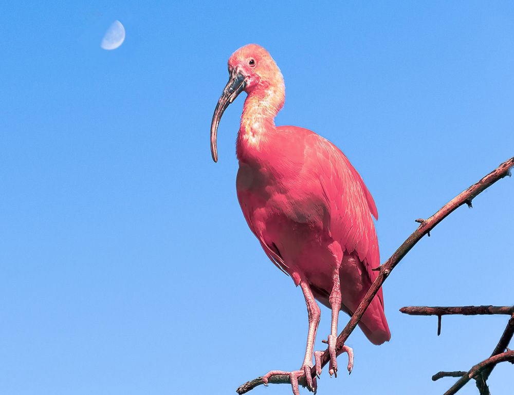 Photograph by Алексей Козлов