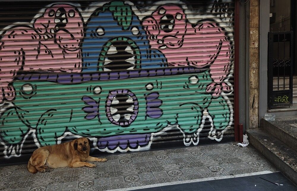 Photo #12837245