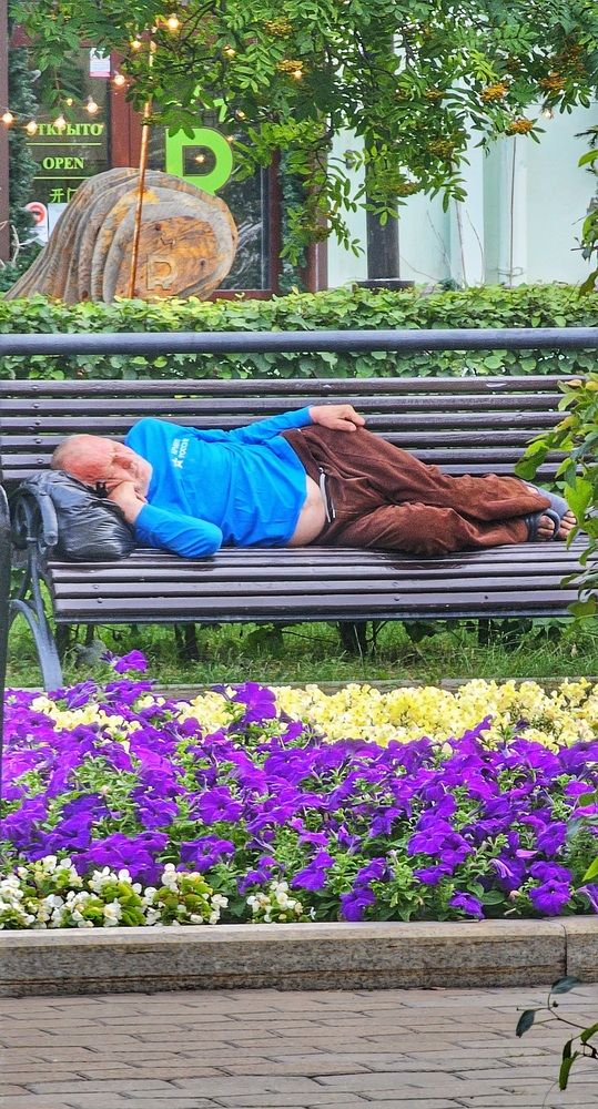 Дневной сон