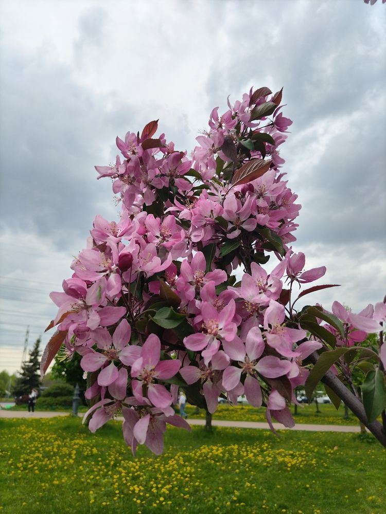 Photograph by Татьяна