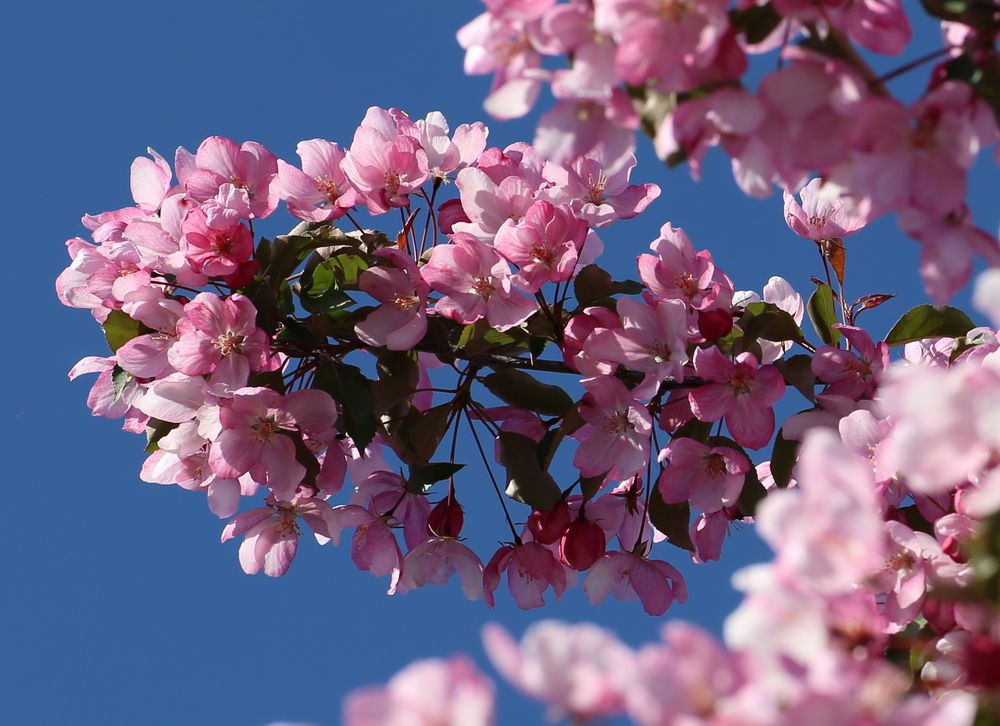 Photograph by Андрей Стародубцев