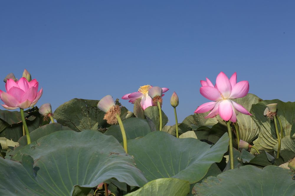 Photograph by Андрей Стародубцев