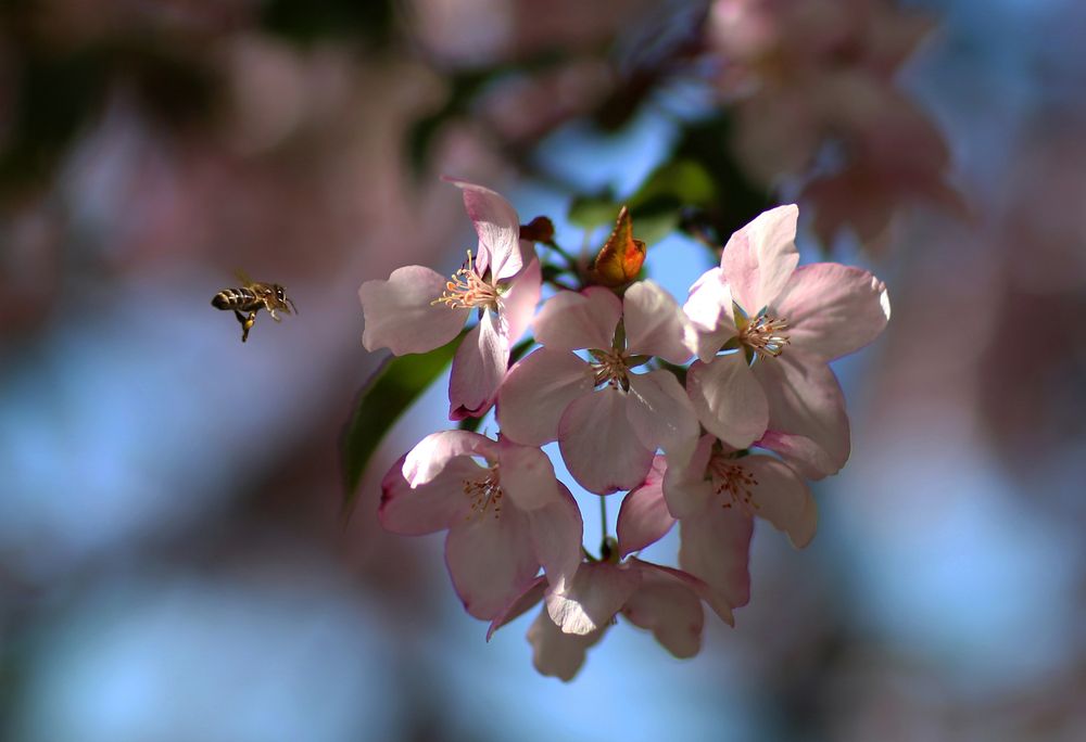 Photograph by Андрей Стародубцев