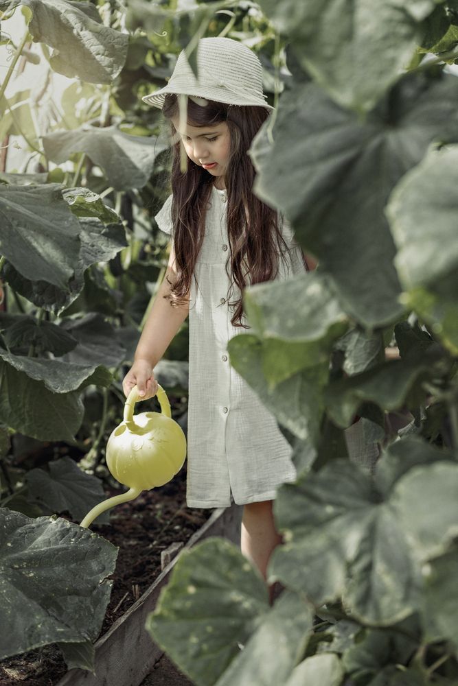 Photograph by Светлана Вторушина