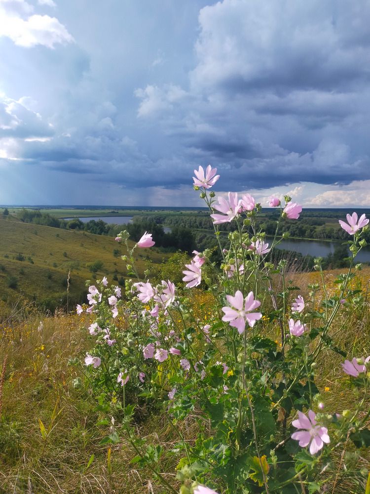 Фотография автора Ольга Мартьянова