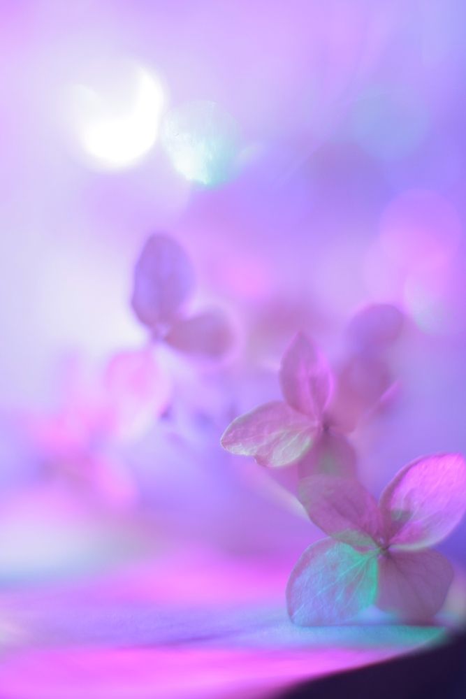 Photograph by Milla Luca