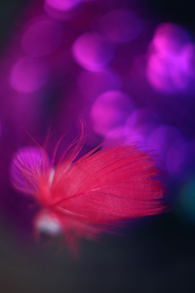 Photograph by Milla Luca