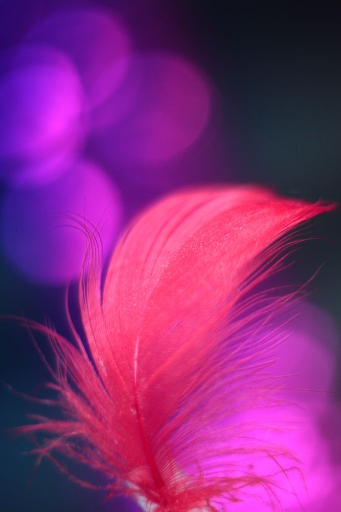 Photograph by Milla Luca