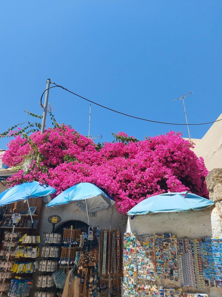 Photograph by Rosane Cortez