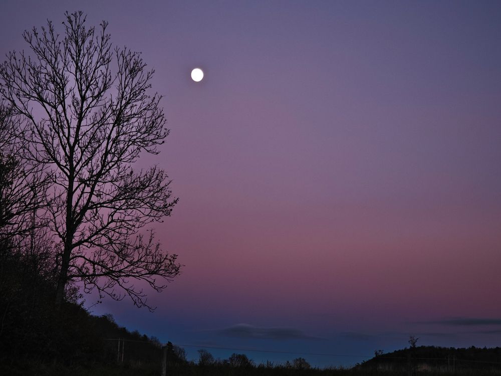 Photograph by Александра Шилова