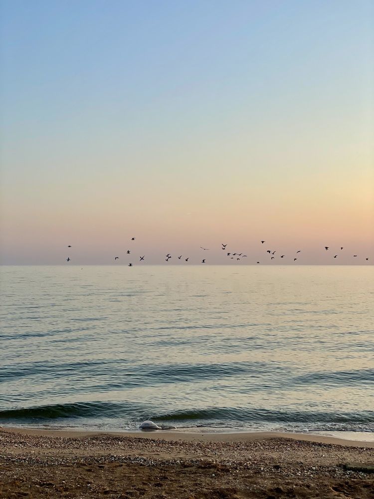 Фотография автора Nadezhda