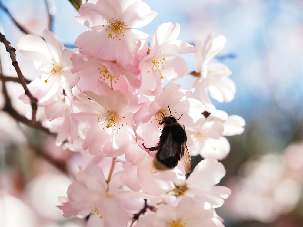 Photograph by Александра Шилова