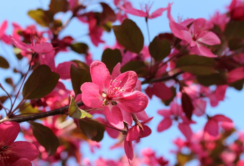 Photograph by Татьяна Сычёва