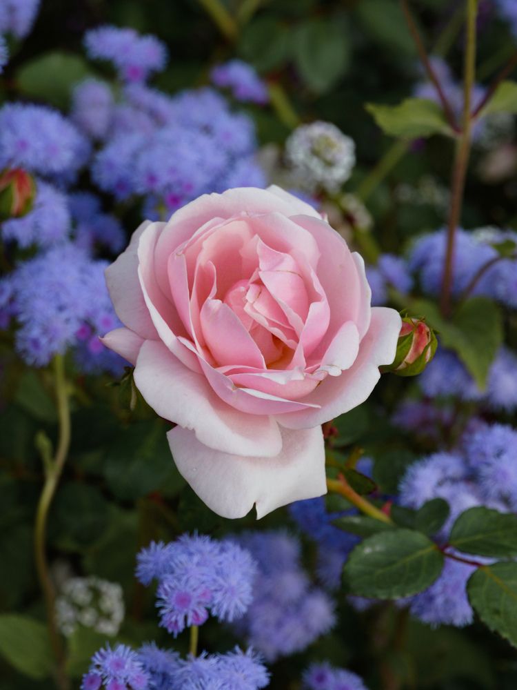 Photograph by Высотских Владимир