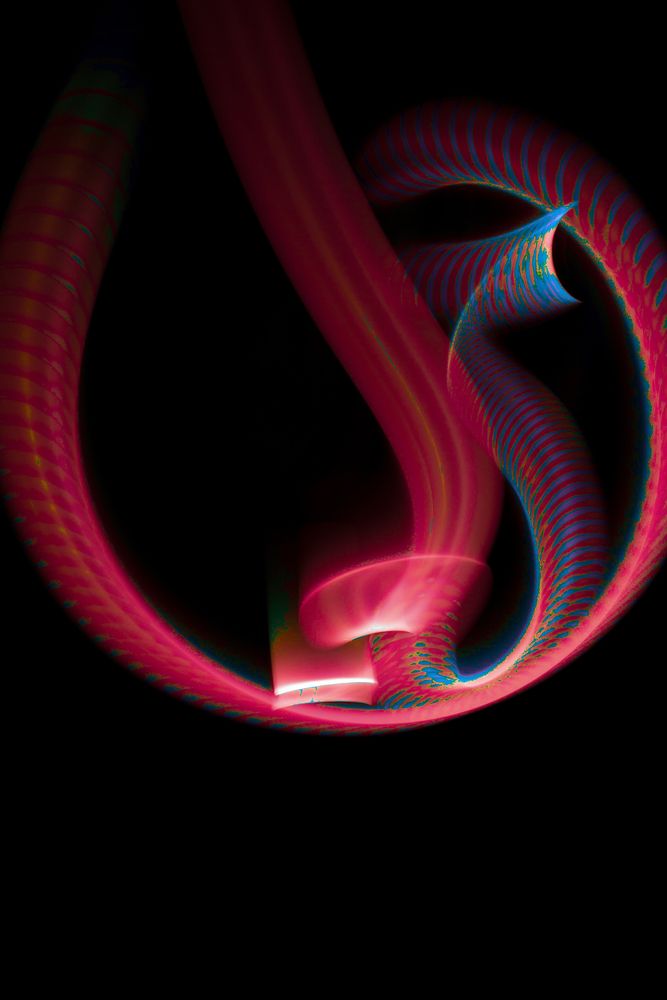 Photograph by zahra salardini