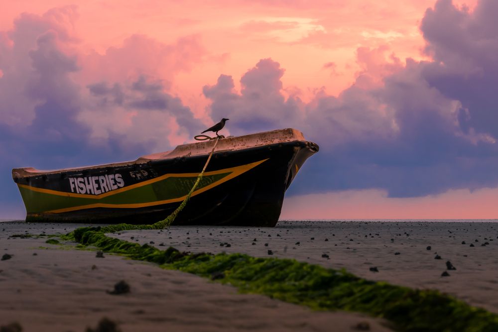 Photograph by Subhajit Basak