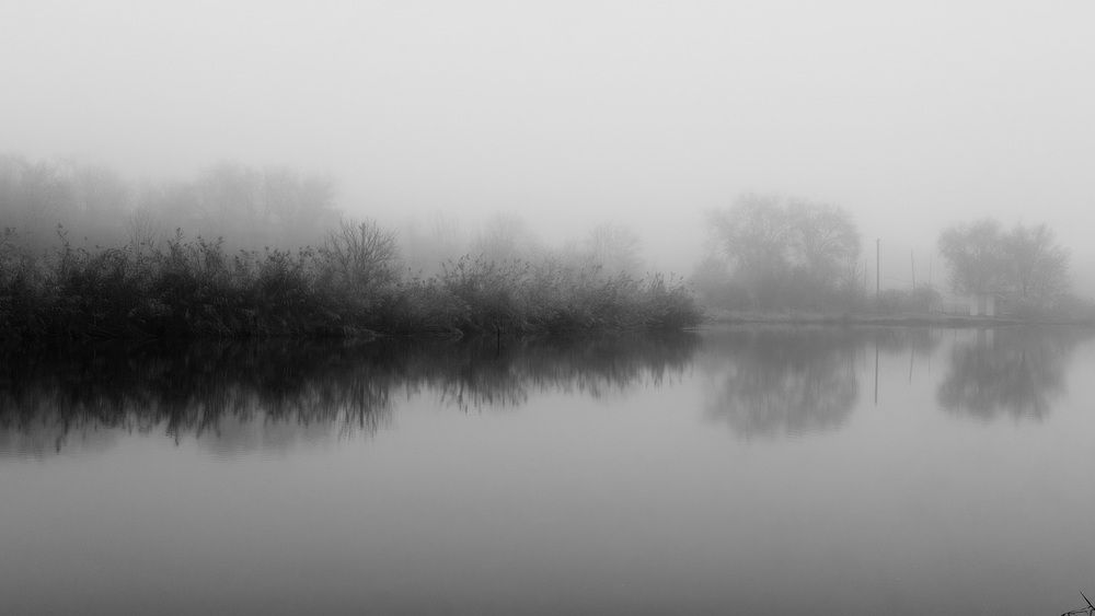 Photograph by Ирина Молибог
