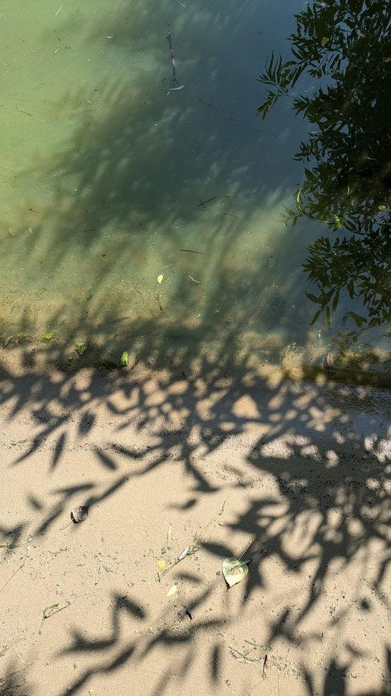 Sun.Air.Water.