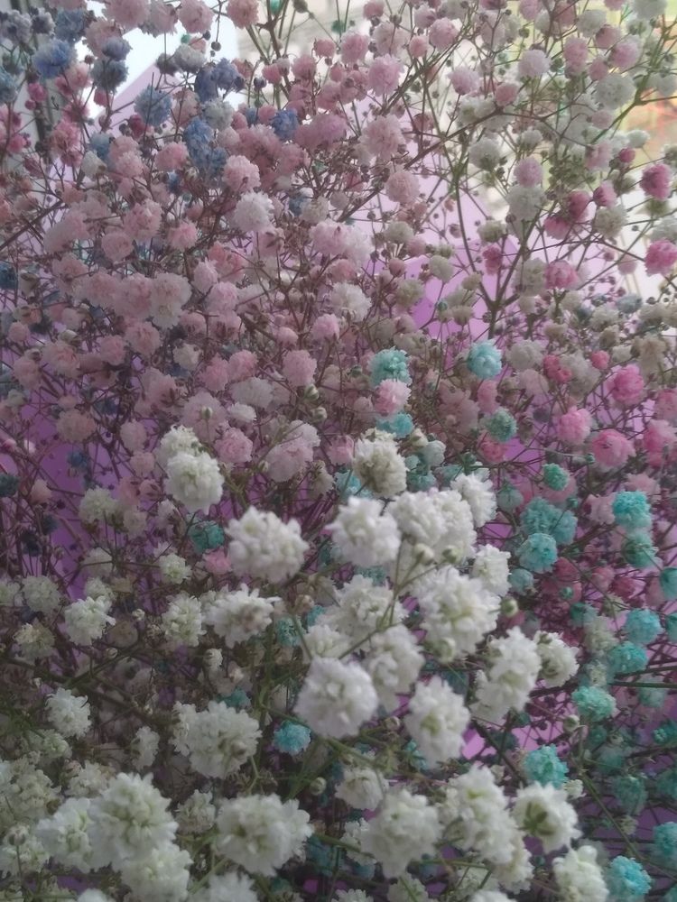 Photograph by Ирина Самойленко