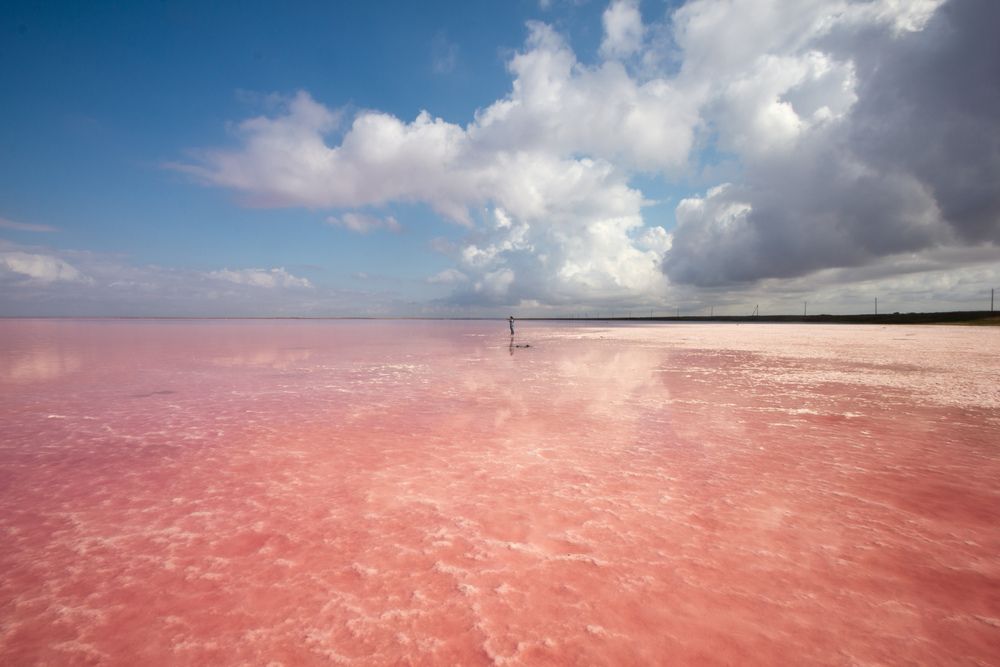 Photograph by Елена Абрамова