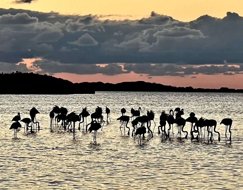 Photograph by Eleni Christogianni