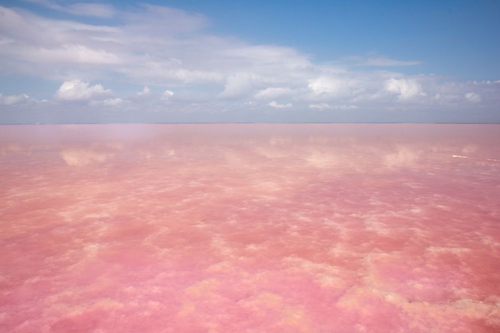 Photograph by Елена Абрамова